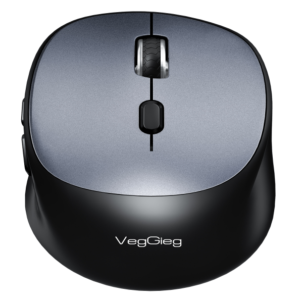 Chuột Không Dây (  Wireless & Bluetooth ) G880 veggieg